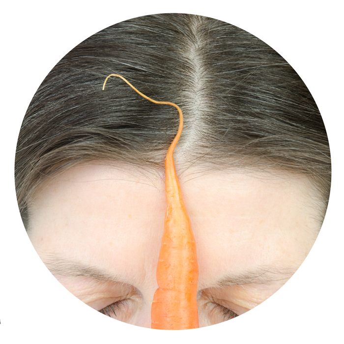 carrott with forehead