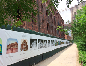 The Fence Brooklyn 2015